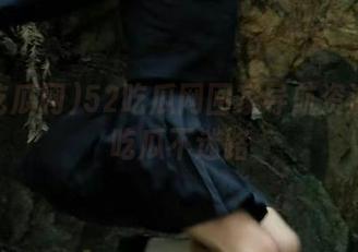 52吃瓜网回家导航资源丰富吃瓜不迷路