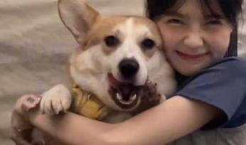 反差吃瓜黑料事件深度解析，让你永不迷路看内幕