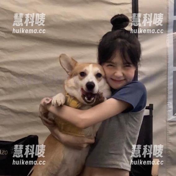 反差吃瓜黑料事件深度解析，让你永不迷路看内幕