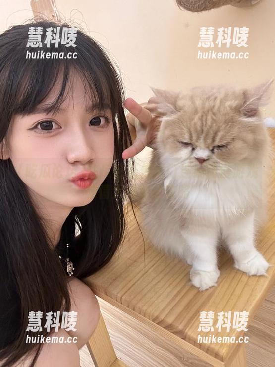 吃瓜论坛传送门连线动漫游戏剧情大揭秘全攻略